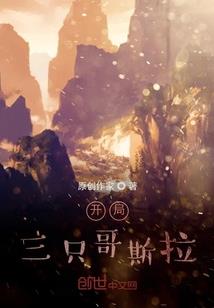 瓜皮的前世今生