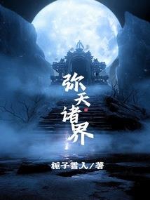 誓零的镜风暴