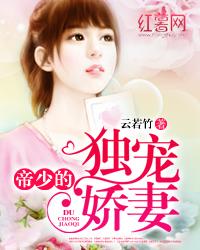 王爷妾本红妆