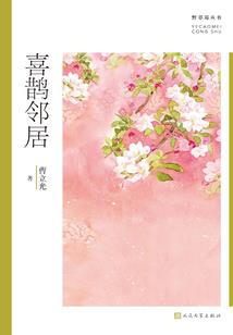 轮回星辰梦