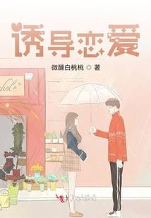 雷狼龙穿越记