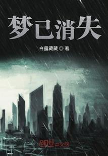文叔的关心