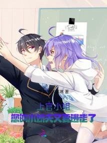 华洛升仙传