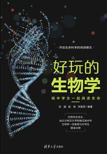 爵宠之撩你到天荒