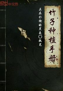四十九剑