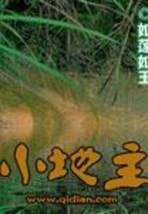绝世之傀儡,悲恋