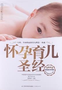 负剑传说